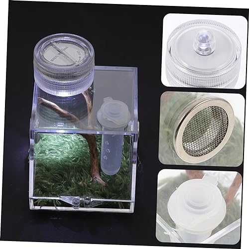 JOINPAYA Mini Spinnenhabitat Box Zuchtbox für Springspinnen mit Fütterungsöffnung und Lampe Transparente und Strapazierfähige Insektenbox für Sicheren Transport Beobachtung von Kleinen JOINPAYA Mini Spinnenhabitat Box Zuchtbox für Springspinnen mit Fütterungsöffnung und Lampe Transparente und Strapazierfähige Insektenbox für Sicheren Transport Beobachtung von Kleinen von JOINPAYA