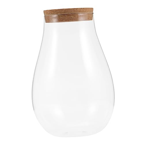 JOINPAYA Moos Öko Flasche Terrarium Behälter Pflanzgefäße Für Zimmerpflanzen Terrarium Glas Große Pflanzen Tank Dekorationen Terrarien Aquarium Topf Landschafts Terrarium JOINPAYA Moos Öko Flasche Terrarium Behälter Pflanzgefäße Für Zimmerpflanzen Terrarium Glas Große Pflanzen Tank Dekorationen Terrarien Aquarium Topf Landschafts Terrarium von JOINPAYA