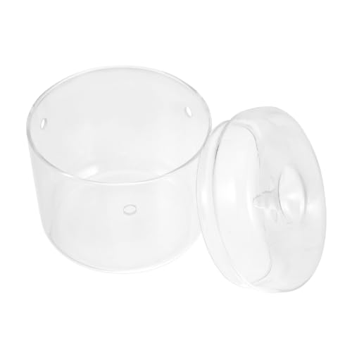 JOINPAYA Moss Ökologische Vase Anlage Pflanzen Einmachgläser Moos Ökologische Flasche Mikro-landschaftsbehälter Mikrolandschaft Ökologische Flasche Transparente Flasche Glas JOINPAYA Moss Ökologische Vase Anlage Pflanzen Einmachgläser Moos Ökologische Flasche Mikro-landschaftsbehälter Mikrolandschaft Ökologische Flasche Transparente Flasche Glas von JOINPAYA