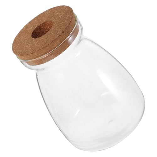 JOINPAYA Ökologische Mikrolandschaftsflasche Desktop-Pflanzenglas Bahnhof Glasterrarium mit Deckel Desktop-Hydrokulturglas Mikro-Landschaftsbehälter Fisch Betta Transparent JOINPAYA Ökologische Mikrolandschaftsflasche Desktop-Pflanzenglas Bahnhof Glasterrarium mit Deckel Desktop-Hydrokulturglas Mikro-Landschaftsbehälter Fisch Betta Transparent von JOINPAYA