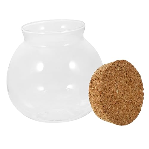 JOINPAYA Ökologisches Terrarium Für Pflanzen Glaskaraffe Mit Holzstopfen Für Mikro-Landschaft Und Tischdeko Vielseitig Einsetzbar Als Aufbewahrungsgefäß Oder Dekoration Für Innenräume Für k JOINPAYA Ökologisches Terrarium Für Pflanzen Glaskaraffe Mit Holzstopfen Für Mikro-Landschaft Und Tischdeko Vielseitig Einsetzbar Als Aufbewahrungsgefäß Oder Dekoration Für Innenräume Für k von JOINPAYA