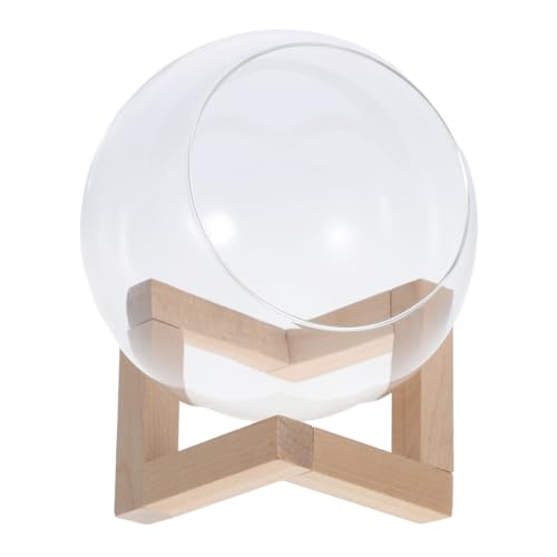 JOINPAYA Pflanzenglas Runde Glasvase Für Sukkulenten Durchsichtiger Terrarium-blasenpflanzer Für Heimdekoration Mit Öffnung Für Pflanzenpflege von JOINPAYA