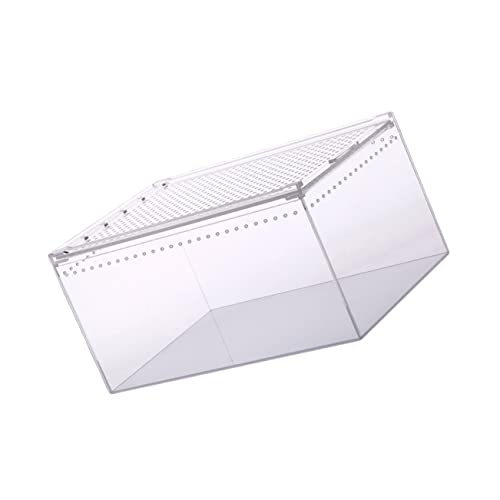 JOINPAYA Reptilien Futterbox Transparente Zuchtbox für Spinnen Schlangen Geckos für Beobachtung Fütterung JOINPAYA Reptilien Futterbox Transparente Zuchtbox für Spinnen Schlangen Geckos für Beobachtung Fütterung von JOINPAYA