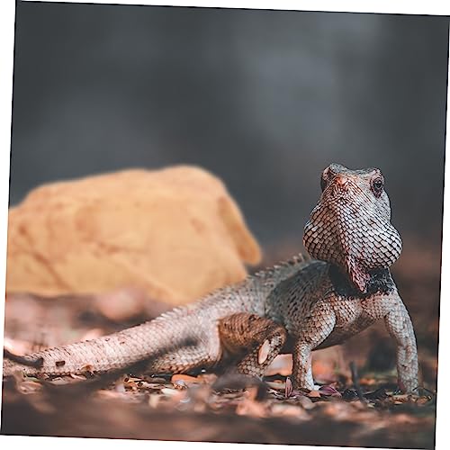 JOINPAYA Reptilien Versteck Höhle aus Sicherem Resin Dekoratives Terrarium Unterschlupf mit Kletterplattform Multifunktionale Dekoration für Schildkröten Wasserschildkröten und Kleine JOINPAYA Reptilien Versteck Höhle aus Sicherem Resin Dekoratives Terrarium Unterschlupf mit Kletterplattform Multifunktionale Dekoration für Schildkröten Wasserschildkröten und Kleine von JOINPAYA