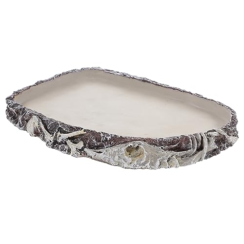 JOINPAYA Reptilien Wasserschale aus Harz Schildkröten Trink und Futterbehälter für Terrarien Langlebig und Multifunktional Reptilien Füttern JOINPAYA Reptilien Wasserschale aus Harz Schildkröten Trink und Futterbehälter für Terrarien Langlebig und Multifunktional Reptilien Füttern von JOINPAYA