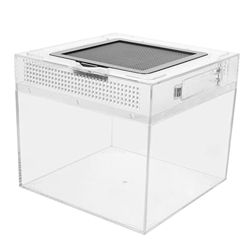 JOINPAYA Reptilien Zuchtbox Hochtransparente Futterbehälter für Spinnen Schildkröten Eidechsen und Frösche Praktische Aufzucht und Beobachtungsbox mit Atmungsaktiven Löchern JOINPAYA Reptilien Zuchtbox Hochtransparente Futterbehälter für Spinnen Schildkröten Eidechsen und Frösche Praktische Aufzucht und Beobachtungsbox mit Atmungsaktiven Löchern von JOINPAYA