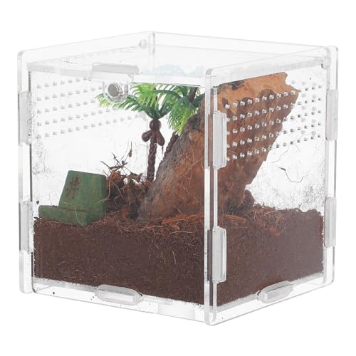 JOINPAYA Spinnenbox Für Haustiere Terrarium Vogelspinnenzubehör Grillenkäfig Schildkrötenbecken Schildkrötenbecken Kleines Eidechsenbecken Schildkrötengehege Springspinnenzubehör JOINPAYA Spinnenbox Für Haustiere Terrarium Vogelspinnenzubehör Grillenkäfig Schildkrötenbecken Schildkrötenbecken Kleines Eidechsenbecken Schildkrötengehege Springspinnenzubehör von JOINPAYA