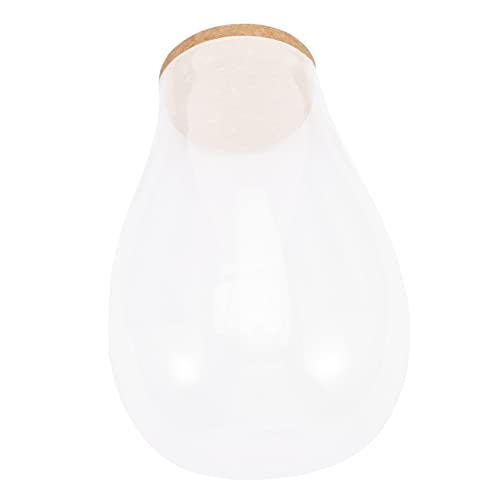 JOINPAYA Terrarium Flasche für DIY Ökosysteme mit Korkverschluss für Pflanzen und Moos Kreative Tischdekoration für Wohnräume und JOINPAYA Terrarium Flasche für DIY Ökosysteme mit Korkverschluss für Pflanzen und Moos Kreative Tischdekoration für Wohnräume und von JOINPAYA