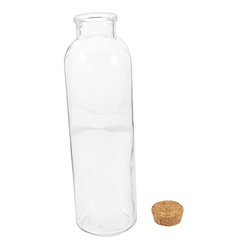 JOINPAYA Terrarium Glasbehälter DIY Pflanzenvase für Mikrolandschaften Transparent für Tischdekoration Moos und Farbige Steine zu Reinigen und Platzsparend von JOINPAYA