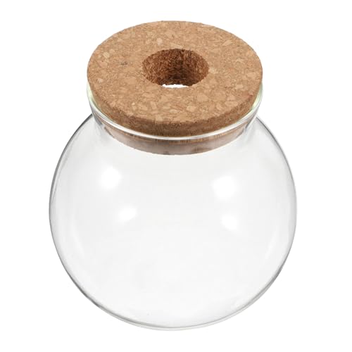 JOINPAYA Terrarium Vase mit Korkdeckel Kleine Transparente Pflanzenvase für Moos Sukkulenten Hydroponik Fischschale Dekoration von JOINPAYA