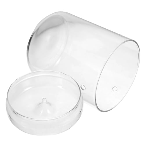 JOINPAYA Terrarium für Pflanzen Dekorativer Flaschenhalter für Schreibtisch und Tischdekoration für Moos und Kleine Pflanzen Langlebiges Design von JOINPAYA