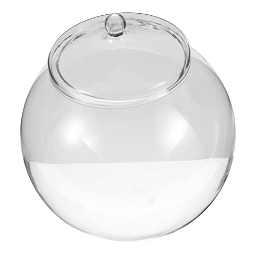 JOINPAYA Terrarium mit DIY Moosökologische Flasche für Mikrolandschaften Vielseitig Einsetzbar Pflanzenhalter und Dekoration für Wohnzimmer JOINPAYA Terrarium mit DIY Moosökologische Flasche für Mikrolandschaften Vielseitig Einsetzbar Pflanzenhalter und Dekoration für Wohnzimmer von JOINPAYA