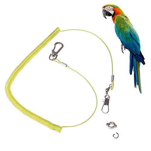JOINPAYA Vogelgeschirr für Papageien Verstellbare Trainingsleine mit Elastischem Seil und Klauerring Zufälliger Farbe für Outdoor Aktivitäten mit Haustieren Zufällige Farbe Zufällige Farbe JOINPAYA Vogelgeschirr für Papageien Verstellbare Trainingsleine mit Elastischem Seil und Klauerring Zufälliger Farbe für Outdoor Aktivitäten mit Haustieren Zufällige Farbe Zufällige Farbe von JOINPAYA