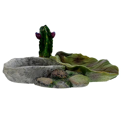 Reptilische Wasser und Futterschale für Schildkröten Eidechsen Schlangen und Andere Reptilien Praktische Trink und Fütterungsstation für Terrarien von JOINPAYA