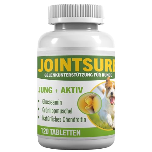 JOINTSURE Young + Active Joint Supplements für Hunde - Dreifache Formel mit Grünlippmuschel & Glucosamin zur Hundegelenkpflege (120) von JOINTSURE