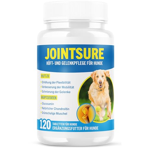 JOINTSURE Gelenktabletten Hund Premium Gelenk Kapseln, 120 Tabletten mit Glucosamin, Gelenkpulver & Grünlippmuscheln, für verbesserte Mobilität & Gelenkgesundheit bei Hunden von JOINTSURE