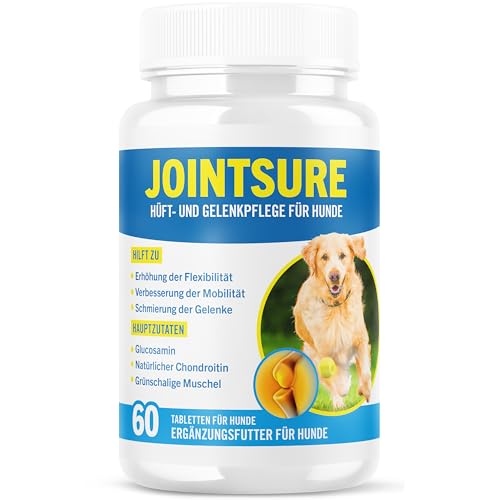 Gelenktabletten Hund - JOINTSURE Premium Gelenk Kapseln, 60 Tabletten mit Glucosamin, Gelenkpulver & Grünlippmuscheln, für verbesserte Mobilität & Gelenkgesundheit bei Hunden von JOINTSURE