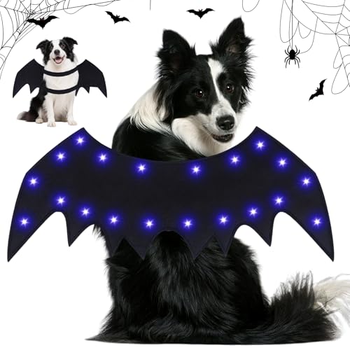 Haustier Fledermausflügel, Katze Fledermaus Kostüm, Fledermausflügel Hund, Halloween Hundekostüm LED Fledermaus Flügel, Einstellbar Fledermaus Flügel für Cosplay Party Deko Halloween Haustier Kostüm von JOKILY