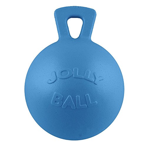 JOLLY 0788169041095 Ball Pferd - Hellblau mit Waldbeerduft von JOLLY