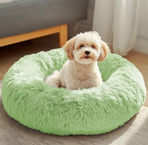 JOLLYVOGUE Beruhigendes Donut-Hundebett, Anti-Angstzustände, waschbar, rundes Bett, flauschiges Kuschelbett, gemütliches, weiches Hunde-/Katzenkissen, Bett für kleine und mittelgroße Hunde (50,8 cm), JOLLYVOGUE Beruhigendes Donut-Hundebett, Anti-Angstzustände, waschbar, rundes Bett, flauschiges Kuschelbett, gemütliches, weiches Hunde-/Katzenkissen, Bett für kleine und mittelgroße Hunde (50,8 cm), von JOLLYVOGUE