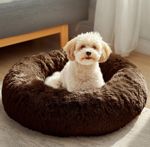 JOLLYVOGUE Beruhigendes Donut-Hundebett, Anti-Angstzustände, waschbar, rundes Bett, flauschiges Kuschelbett, gemütliches, weiches Hunde- und Katzenkissen, Bett für kleine und mittelgroße Hunde (61 cm) JOLLYVOGUE Beruhigendes Donut-Hundebett, Anti-Angstzustände, waschbar, rundes Bett, flauschiges Kuschelbett, gemütliches, weiches Hunde- und Katzenkissen, Bett für kleine und mittelgroße Hunde (61 cm) von JOLLYVOGUE