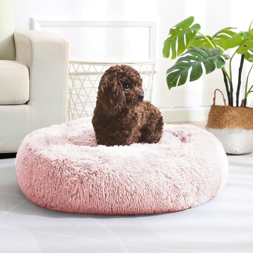 JOLLYVOGUE Beruhigendes Donut Hundebett & Katzenbett, flauschiges Kunstfell-Plüsch-Hunde-Kuschelbett, Anti-Angst-Hund, rundes Bett, waschbar, wärmend, gemütlich, weich, Hunde- und Katzenkissenbett für JOLLYVOGUE Beruhigendes Donut Hundebett & Katzenbett, flauschiges Kunstfell-Plüsch-Hunde-Kuschelbett, Anti-Angst-Hund, rundes Bett, waschbar, wärmend, gemütlich, weich, Hunde- und Katzenkissenbett für von JOLLYVOGUE