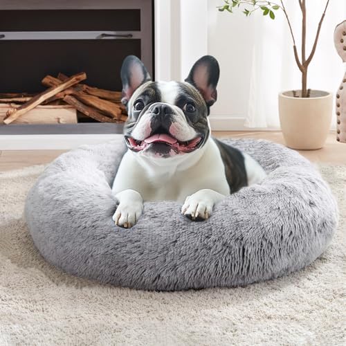 JOLLYVOGUE Beruhigendes Hunde- und Katzenbett, Donut-Motiv, waschbar, kleines Hundebett, 50,8 cm, rutschfest, rund, flauschig, Plüsch-Kunstfell, passend für Haustiere bis zu 6,8 kg (50,8 cm/61 cm/71,1 JOLLYVOGUE Beruhigendes Hunde- und Katzenbett, Donut-Motiv, waschbar, kleines Hundebett, 50,8 cm, rutschfest, rund, flauschig, Plüsch-Kunstfell, passend für Haustiere bis zu 6,8 kg (50,8 cm/61 cm/71,1 von JOLLYVOGUE