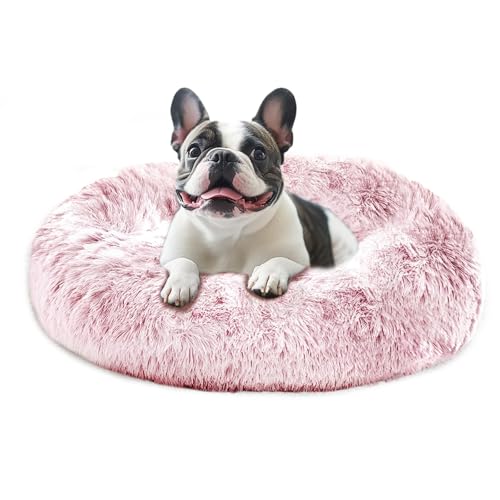 JOLLYVOGUE Luxuriöses Beruhigungsbett für kleine Hunde, Anti-Angst, maschinenwaschbar, wasserdichte Unterseite, Rauchrosa, 91,4 cm JOLLYVOGUE Luxuriöses Beruhigungsbett für kleine Hunde, Anti-Angst, maschinenwaschbar, wasserdichte Unterseite, Rauchrosa, 91,4 cm von JOLLYVOGUE