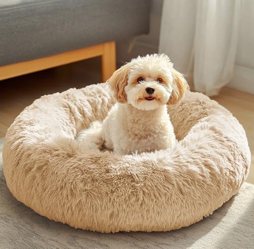 JOLLYVOGUE Off - White Beruhigendes Donut-Hundebett, Anti-Angstzustände, waschbar, rundes Bett, flauschiges Hunde- und Katzenkissen, für kleine und mittelgroße Hunde (50,8 cm) von JOLLYVOGUE