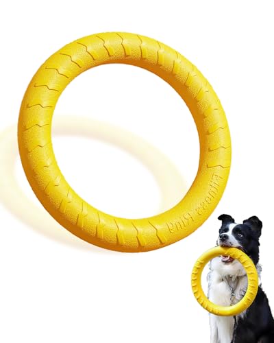 JONGLYEE Hundespielzeug für aggressive Kauer, fliegender Ring für Hundetraining, Kauen und Kathing JONGLYEE Hundespielzeug für aggressive Kauer, fliegender Ring für Hundetraining, Kauen und Kathing von JONG LYEE