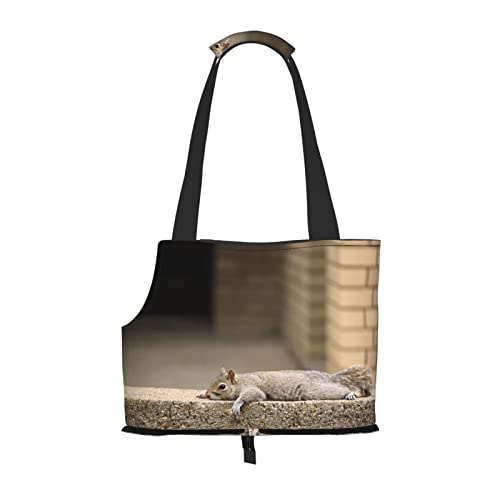 Squirrel Just Laying Printed Pet Portable Foldable Shoulder Bag, Ideal Choice For Small Pet Travel von JONGYA
