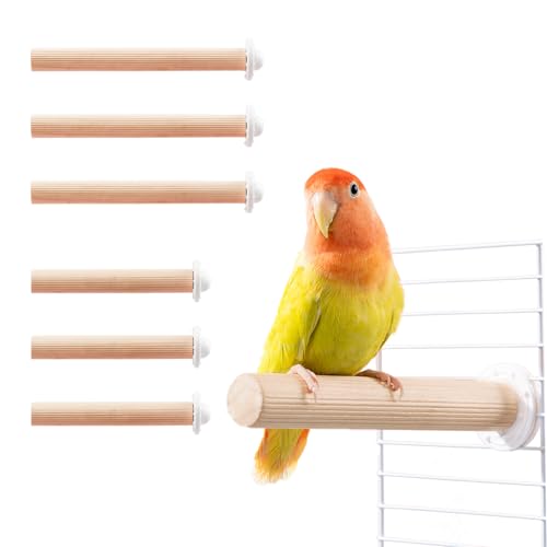 Vogelsitzstange aus Holz, für Papageien, Ruheplatz, Käfigdekoration für mittelgroße und kleine Vögel, 6 Stück Vogelsitzstange aus Holz, für Papageien, Ruheplatz, Käfigdekoration für mittelgroße und kleine Vögel, 6 Stück von JONS NTY