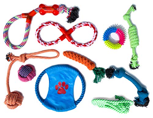 Little Woofer Dog Toys | 10 Stück Haustier Spielzeug Seile für aggressive Kauer | für kleine und mittelgroße Hunde von JOOLEE