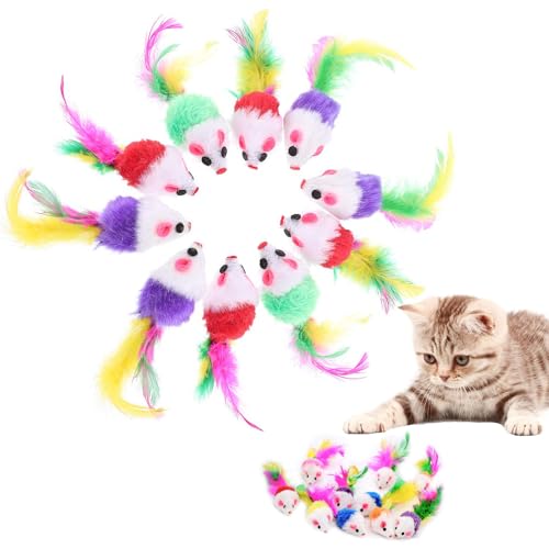 10 Stück Pelz Haustier Spielzeug Mäuse Spielmaus für Katzen Federschwänzen für Katzen Spaß Spielen (zufällige Farbe) von JOOTUEPO