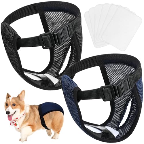 JOOTUEPO 2er Pack Hundewindeln Hündinnen Läufigkeitshose Waschbare Schutzhöschen Hundewindeln für Hündinnen mit 6 Damenbinden Wiederverwendbare Hundehose Verstellbare Schutzhose für Hündinnen, M JOOTUEPO 2er Pack Hundewindeln Hündinnen Läufigkeitshose Waschbare Schutzhöschen Hundewindeln für Hündinnen mit 6 Damenbinden Wiederverwendbare Hundehose Verstellbare Schutzhose für Hündinnen, M von JOOTUEPO