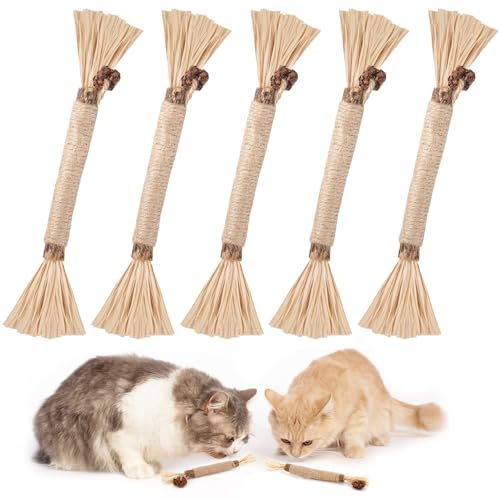 JOOTUEPO 5 Stück katzenminze Sticks Spielzeug, matatabi Sticks Katzen kaustangen, Katzen kaustangen Sticks für Katzen Zahnpflege Natürlich Sicher JOOTUEPO 5 Stück katzenminze Sticks Spielzeug, matatabi Sticks Katzen kaustangen, Katzen kaustangen Sticks für Katzen Zahnpflege Natürlich Sicher von JOOTUEPO