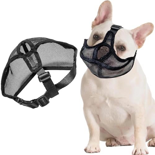 JOOTUEPO Französische Bulldogge Maulkorb, Won't Cover Stirn Hund Maulkorb für Kurze Schnauze Hund mit verstellbarem Mesh, Kopfgurt Anti Biting Kauen Bellen(M, Schwarz) von JOOTUEPO