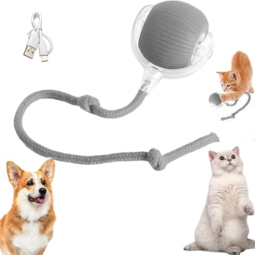 JOPWUE Chewie Rolling Ball, interaktives Spielzeug für Katzen, elektrisch, 360 ° drehbar, 3 verstellbar, mit Weckfunktion für Hunde und Katzen, klein und mittel, Grau von JOPWUE