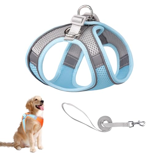 Katzengeschirr und Leine, Metallring, verstellbar, weich reflektierend, gestreift, ausbruchsicher, weiches Netzgewebe, Geschirr und Leine für kleine und mittelgroße Katzen, Haustiere (Blau, XS) von JOPWUE