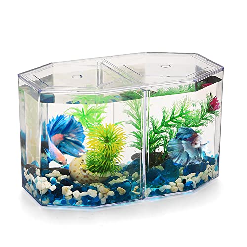 Aquarium-Fisch-Zuchtbox, Mehrzweck-transparente Achteckige Fisch-Isolierungsbox, Acryl-Aquarium-Fisch-Zucht-Isolierungsbox, Brutkasten für die Fischzucht Aquarium-Fisch-Zuchtbox, Mehrzweck-transparente Achteckige Fisch-Isolierungsbox, Acryl-Aquarium-Fisch-Zucht-Isolierungsbox, Brutkasten für die Fischzucht von JOROBURO