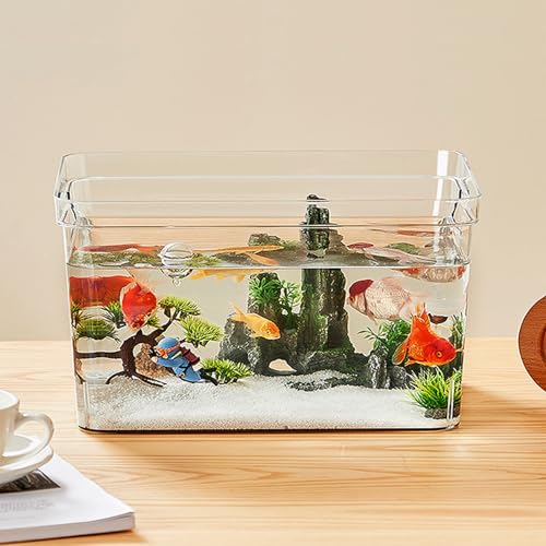 DIY-Aquarium, Robuste, Leicht zu Reinigende Desktop-Aquariumdekoration, Acryl-Salzwasser-Aquarium, Betta-Aquarium für das Wohnzimmer Im Haushalt (Mittel 80 x 60 x 53 cm / 31,5 x DIY-Aquarium, Robuste, Leicht zu Reinigende Desktop-Aquariumdekoration, Acryl-Salzwasser-Aquarium, Betta-Aquarium für das Wohnzimmer Im Haushalt (Mittel 80 x 60 x 53 cm / 31,5 x von JOROBURO