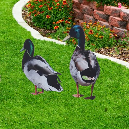 Enten-Gartenstecker, Dekoration, Acryl, Lebensecht, Wetterfest, Einfache Installation, Gartenstatue für den Außenbereich, Skulptur, Dekoration, Hofkunst, Tierfiguren für Rasen, Enten-Gartenstecker, Dekoration, Acryl, Lebensecht, Wetterfest, Einfache Installation, Gartenstatue für den Außenbereich, Skulptur, Dekoration, Hofkunst, Tierfiguren für Rasen, von JOROBURO