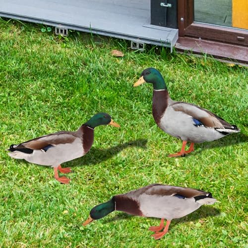 Enten-Gartenstecker, Dekoration, Acryl, Lebensecht, Wetterfest, Einfache Installation, Gartenstatue für den Außenbereich, Skulptur, Dekoration, Hofkunst, Tierfiguren für Rasen, Enten-Gartenstecker, Dekoration, Acryl, Lebensecht, Wetterfest, Einfache Installation, Gartenstatue für den Außenbereich, Skulptur, Dekoration, Hofkunst, Tierfiguren für Rasen, von JOROBURO