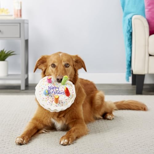Hunde-Geburtstagskuchenspielzeug, Geburtstagskuchen-Stofftier, Lustiges Weiches Kauspielzeug in Geburtstagskuchenform, Hundeparty-Plüsch-Hundegeschenkspielzeug für Hunde und Katzen, 20 X 21 Cm von JOROBURO