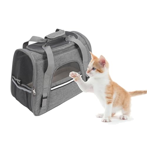Hundetragetasche, Große Kapazität, Atmungsaktiv, Multifunktional, Weiche Seiten, Haustier-Reisetrage, Hundetrage, Haustiertrage, Rucksack, Tragetasche für Katzen, Kleine Hunde, Outdoor-Reisen(Grau) Hundetragetasche, Große Kapazität, Atmungsaktiv, Multifunktional, Weiche Seiten, Haustier-Reisetrage, Hundetrage, Haustiertrage, Rucksack, Tragetasche für Katzen, Kleine Hunde, Outdoor-Reisen(Grau) von JOROBURO
