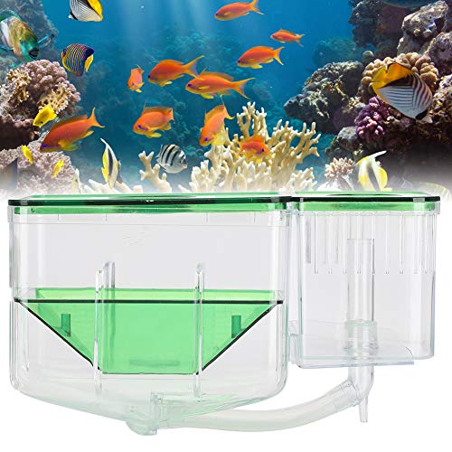JOROBURO Fischzuchtbox, Transparente Aquarium-Brutbox für Kleine Fische, Doppelschicht-Isolierbox für Aquarien, Brüterei-Inkubator für Verletzte Kleine Fischgarnelen JOROBURO Fischzuchtbox, Transparente Aquarium-Brutbox für Kleine Fische, Doppelschicht-Isolierbox für Aquarien, Brüterei-Inkubator für Verletzte Kleine Fischgarnelen von JOROBURO