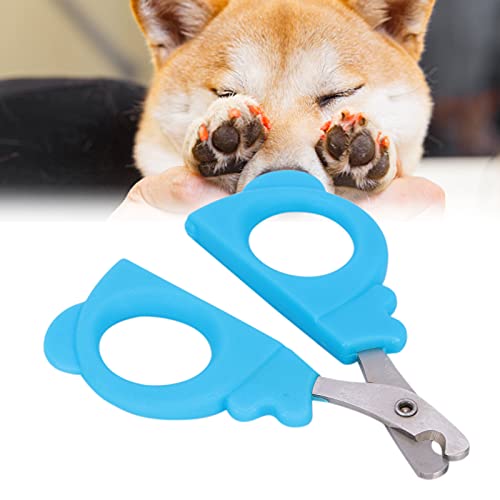 JOROBURO Haustier-Nagelknipser, Edelstahl-Nagelschneider, Katzen-Nagelklauenknipser, Professionelles Pflegewerkzeug mit Edelstahlklinge für Haustiere, Hunde, Katzen (Blau) von JOROBURO