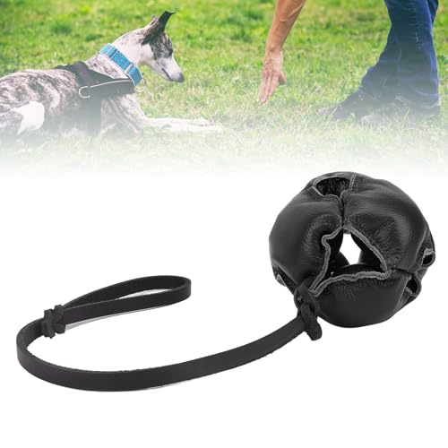 JOROBURO Hunde-Trainingsball, Energie Freisetzen, Angst Reduzieren, Interaktives Übungs- und Belohnungsball Am Seil, Tragbares Energie-Reduzierungs-Hunde-Zug-, Wurf- und Zerrspielzeug für von JOROBURO