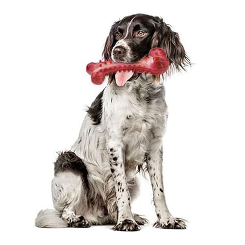 JOROBURO Hundeknochenspielzeug, Haustiersimulation, Bissfestes Zähneknirschspielzeug, Gummi-Backenzahnstange, Hundekauspielzeug, Zähneputzen, Zahnen, Kauspielzeug, Zahnärztliche von JOROBURO