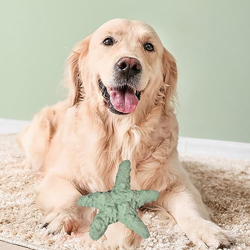 JOROBURO Kauspielzeug Zum Zahnen für Welpen, Gummi, Niedlicher Seestern-Stil, Weiche, Leuchtende Farben, Zahnfleischmassage, Kauspielzeug für Hunde, Interaktives Puzzle-Seestern-Spielzeug JOROBURO Kauspielzeug Zum Zahnen für Welpen, Gummi, Niedlicher Seestern-Stil, Weiche, Leuchtende Farben, Zahnfleischmassage, Kauspielzeug für Hunde, Interaktives Puzzle-Seestern-Spielzeug von JOROBURO